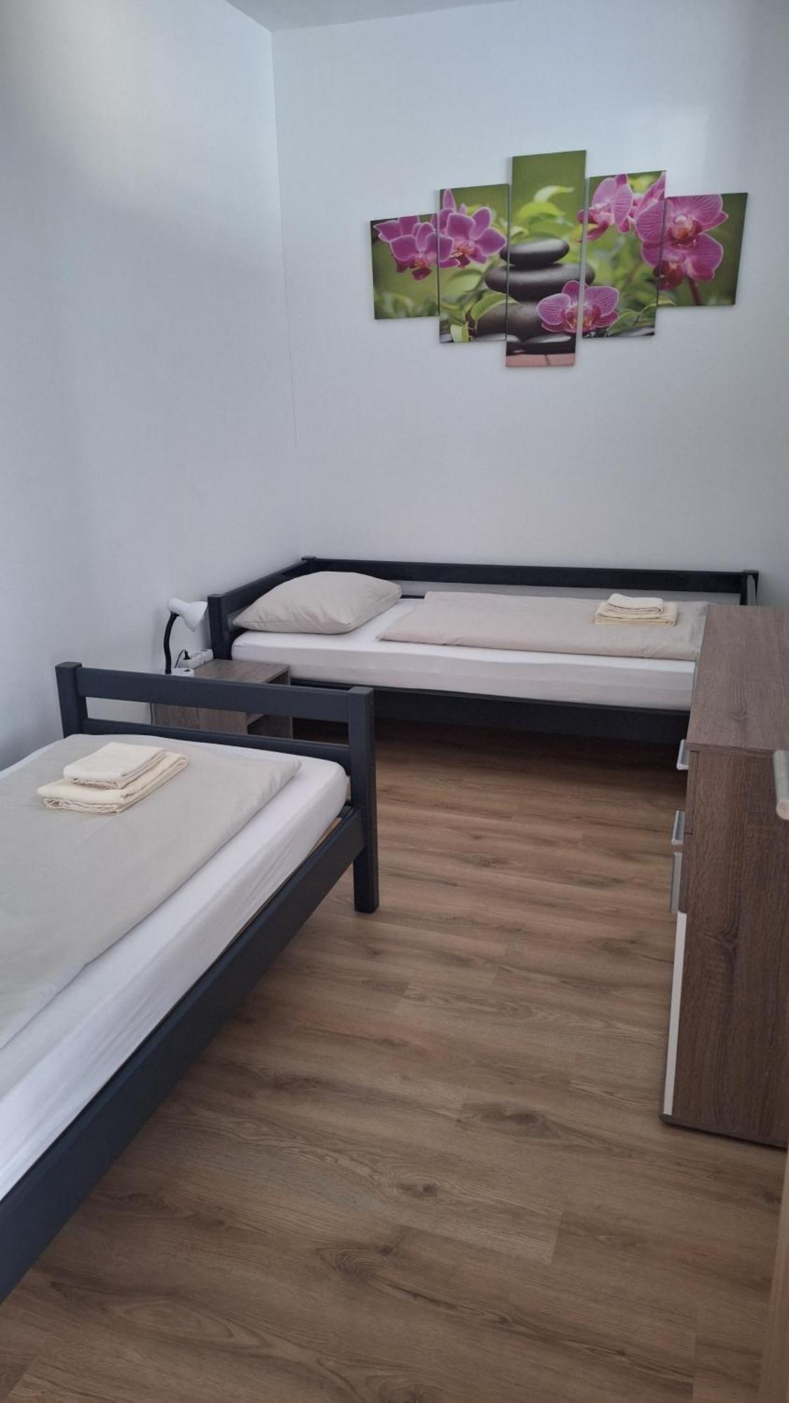 Pension Haus Nova Wiener Neustadt Esterno foto